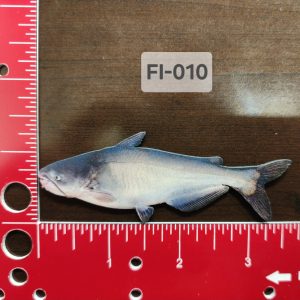 UV Printed Leatherette Blue Catfish Patch FI-010