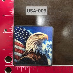 UV Printed Bald Eagle American Flag Patch USA-009